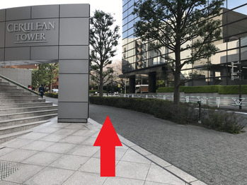 セルリアンタワーを過ぎ一つ目の曲道の渋谷区桜ヶ丘公園まで直進